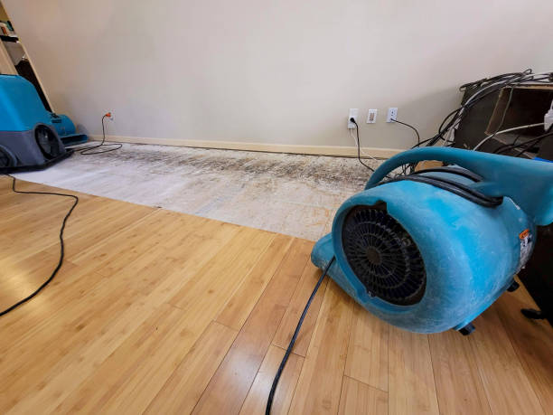 Professional Water Damage Repair technician working in Upton, NY